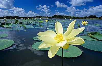 即时战略战争模拟游戏《海权：导弹时代的海战》现已抢先体验推出 获特别好评