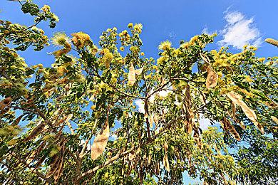 《碧姬公主：表演时刻》正式发售 上市宣传片欣赏