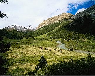 《没人想死》7月17日发售 新实机预告发布